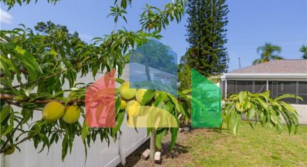 Residential - Single Family Home - Clearwater, Florida, United States - United States