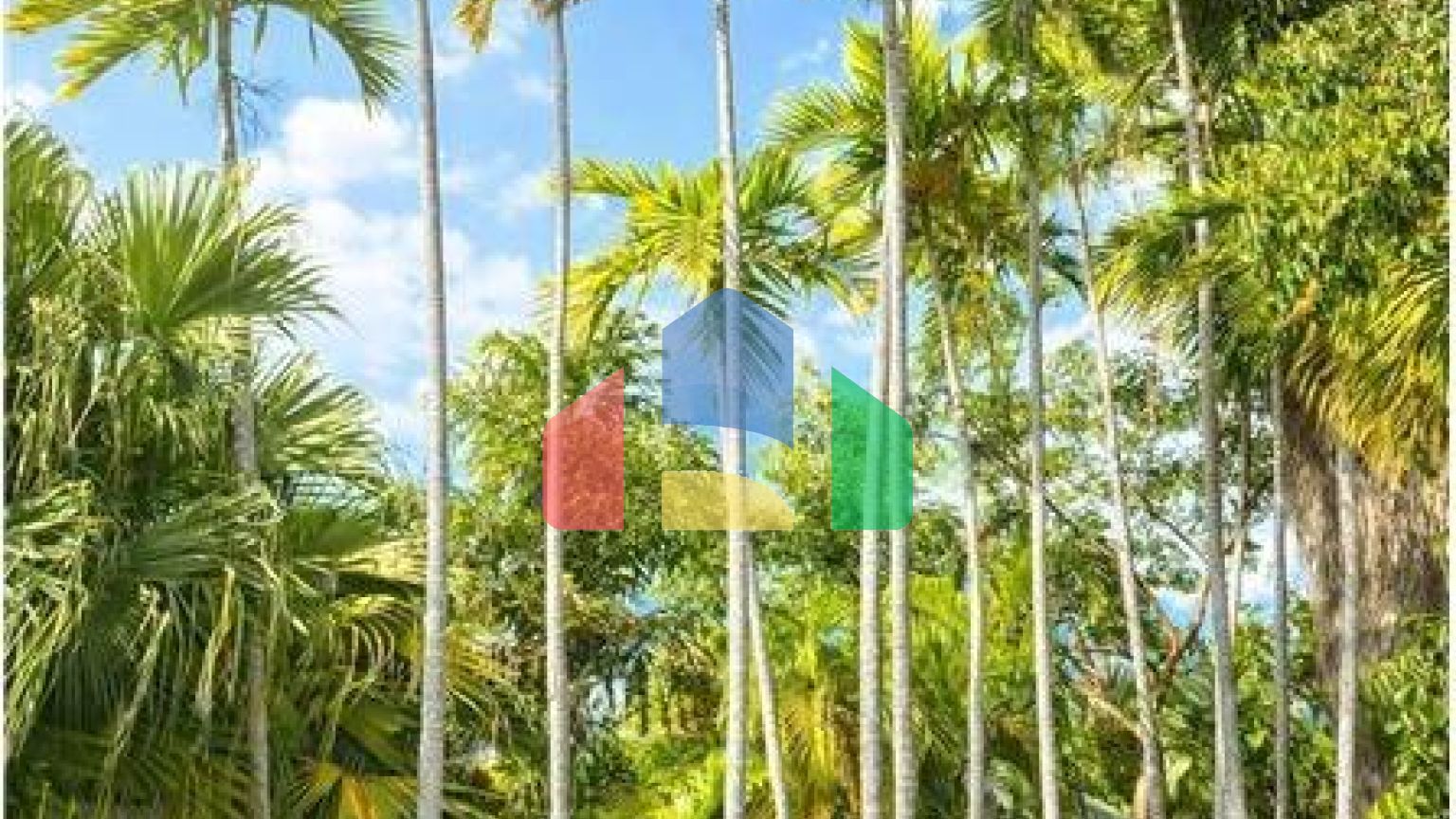 Residential - Multi-Family - Key West, Florida, United States - United States