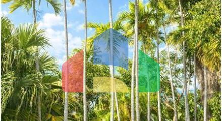 Residential - Multi-Family - Key West, Florida, United States - United States