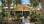 Residential - Single Family Home - Orlando, Florida, United States - United States