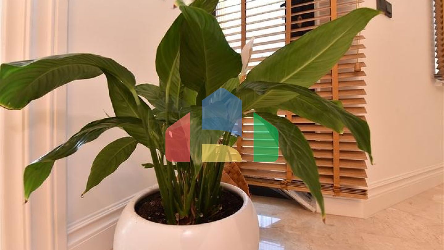 Вілла з дизайнерським ремонтом 5 + 1