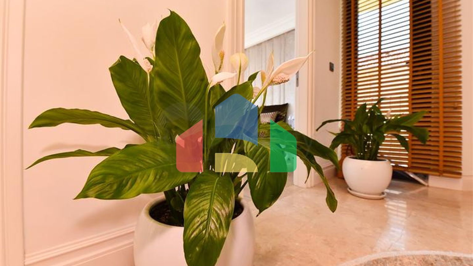 Вілла з дизайнерським ремонтом 5 + 1