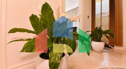 Вілла з дизайнерським ремонтом 5 + 1