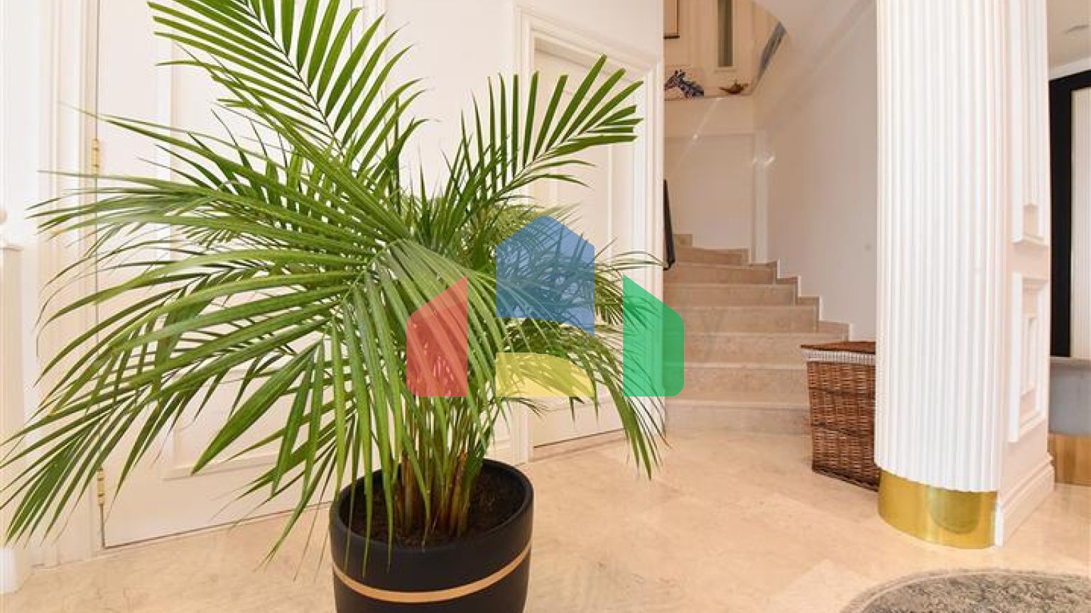 Вілла з дизайнерським ремонтом 5 + 1