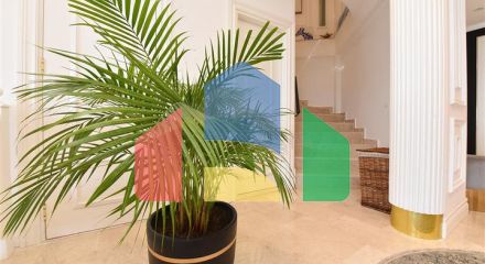 Вілла з дизайнерським ремонтом 5 + 1