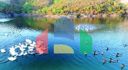 Апартаменты люкс-класса с прямым видом на море