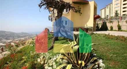 Апартаменты люкс-класса с прямым видом на море