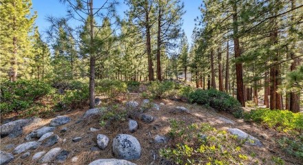 Residential - Vacant Land - Reno, Nevada, United States - United States