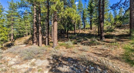 Residential - Vacant Land - Reno, Nevada, United States - United States