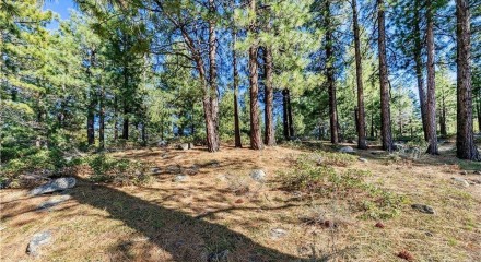 Residential - Vacant Land - Reno, Nevada, United States - United States