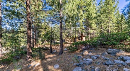 Residential - Vacant Land - Reno, Nevada, United States - United States