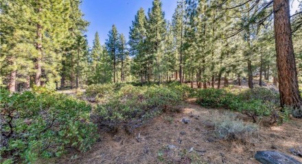 Residential - Vacant Land - Reno, Nevada, United States - United States