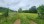 Commercial - Farm - Savannah, United States - United States