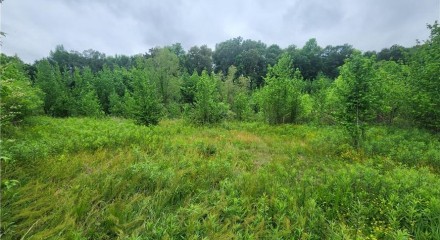 Commercial - Farm - Savannah, United States - United States