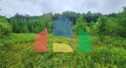 Commercial - Farm - Savannah, United States - United States
