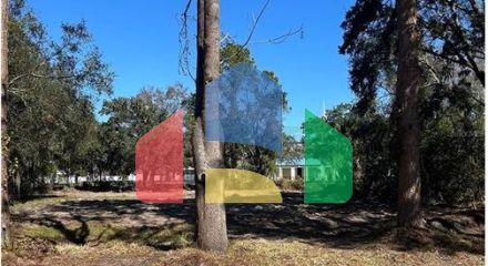 Residential - Vacant Land - Tampa, Florida, United States - United States