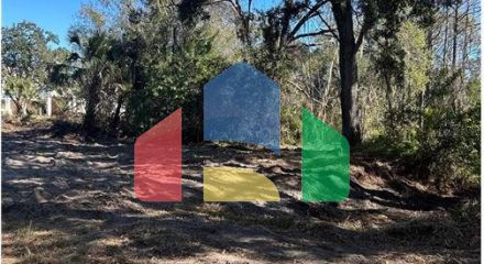 Residential - Vacant Land - Tampa, Florida, United States - United States