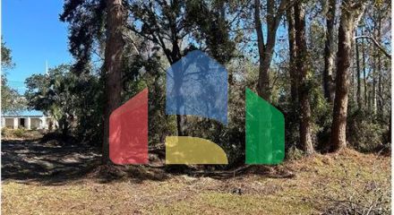 Residential - Vacant Land - Tampa, Florida, United States - United States