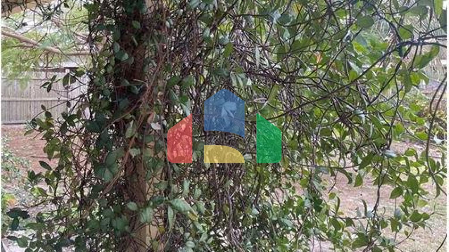 Residential - Single Family Home - Tampa, Florida, United States - United States