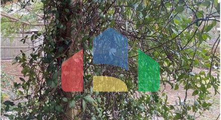 Residential - Single Family Home - Tampa, Florida, United States - United States