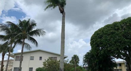 Residential - Condo/Apartment - West Palm Beach, Florida, United States - United States