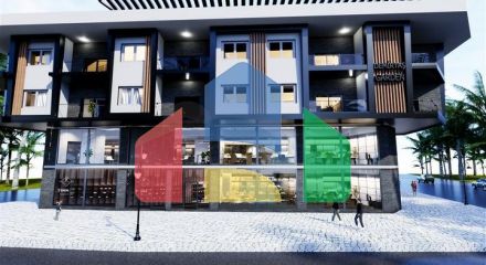 Investment project in Demirtas district