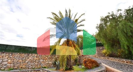 Шикарний будинок з власним басейном і садом в районі Демірташ