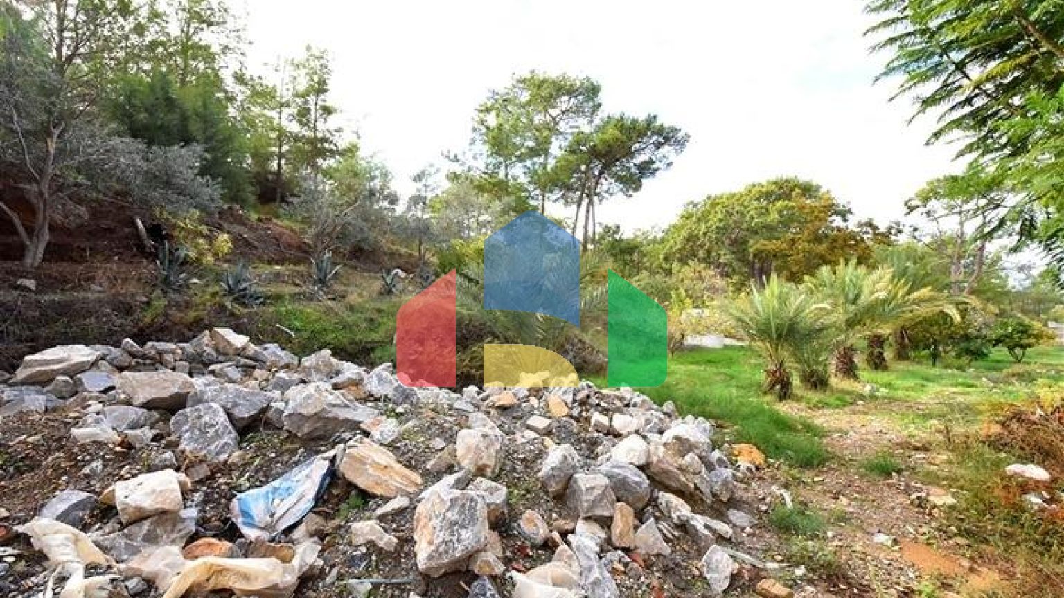 Шикарний будинок з власним басейном і садом в районі Демірташ