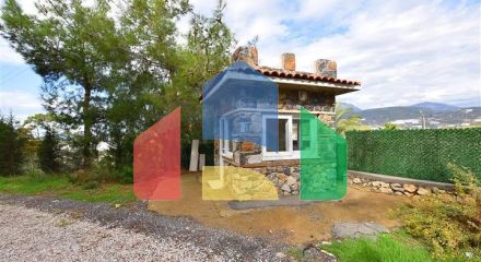 Шикарний будинок з власним басейном і садом в районі Демірташ