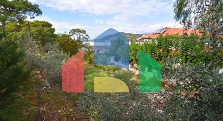 Шикарний будинок з власним басейном і садом в районі Демірташ