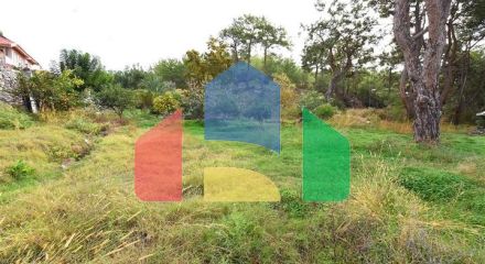 Шикарний будинок з власним басейном і садом в районі Демірташ