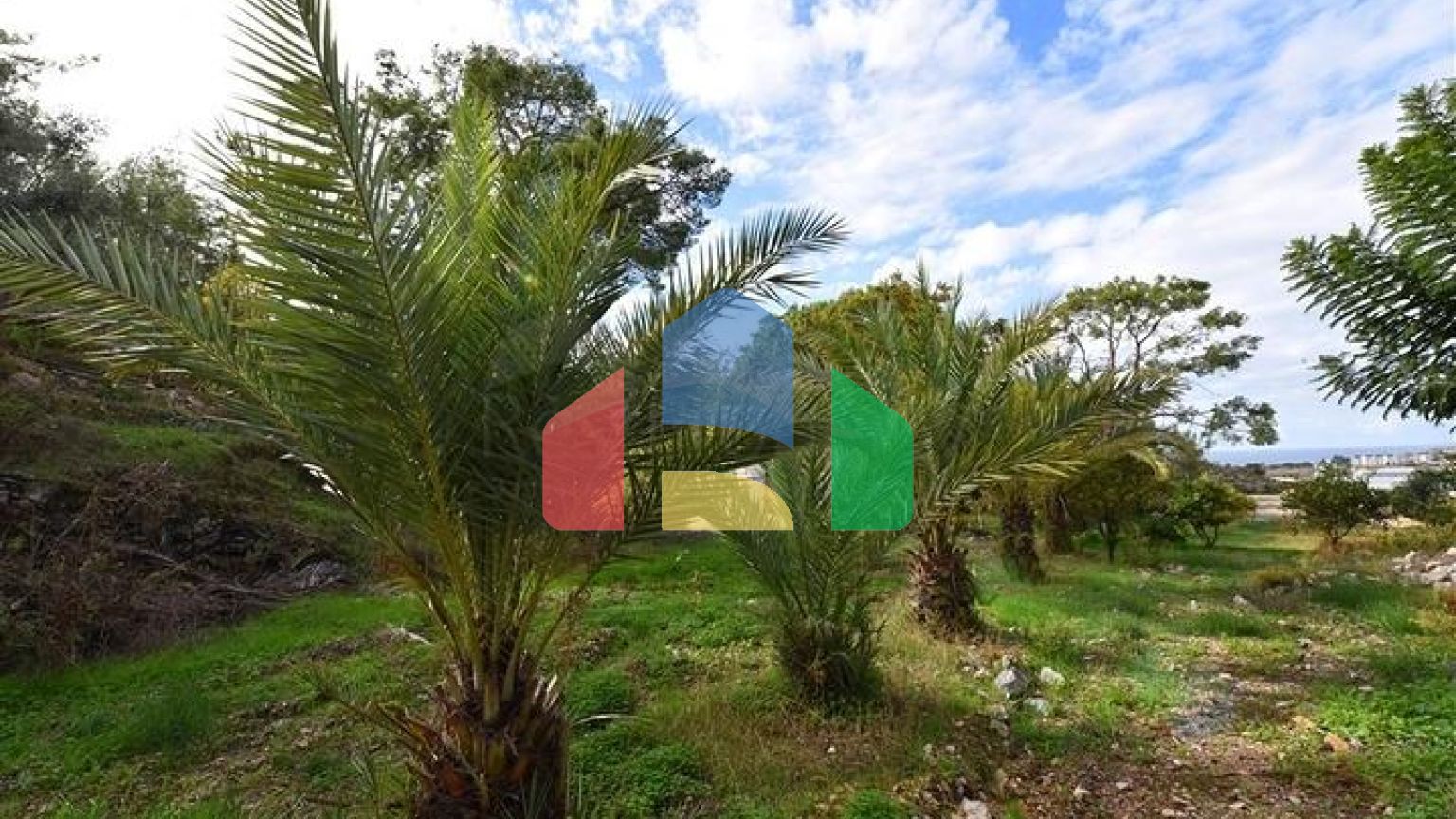 Шикарний будинок з власним басейном і садом в районі Демірташ