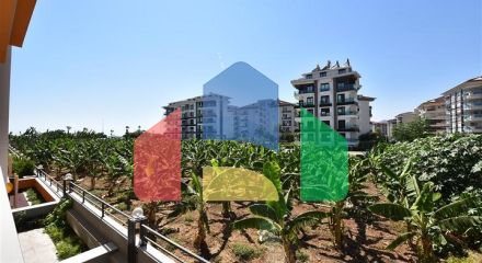 Просторі апартаменти в Кестель