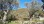 Urbanized plot for sale near the beach