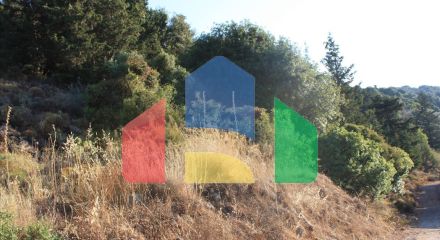 Продажа - Земельный участок 11842 m² на Крите Продажа - Земельный участок 11842 m² на Крите