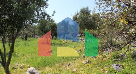 For Sale - Land 5889 m² in Crete