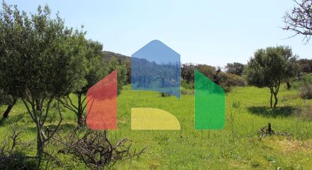 For Sale - Land 5889 m² in Crete
