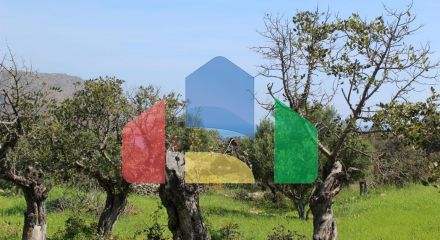 For Sale - Land 5889 m² in Crete