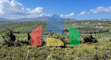 For Sale - Land 6350 m² in Crete