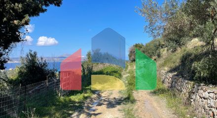 For Sale - Land 6350 m² in Crete
