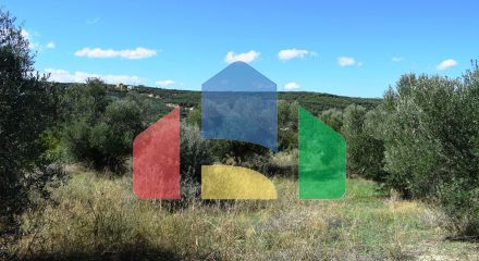 Продажа - Земельный участок 2010 m² на Крите