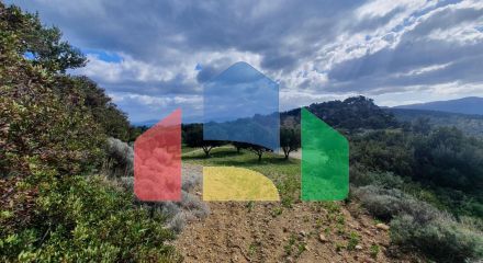 For Sale - Land 4790 m² in Crete
