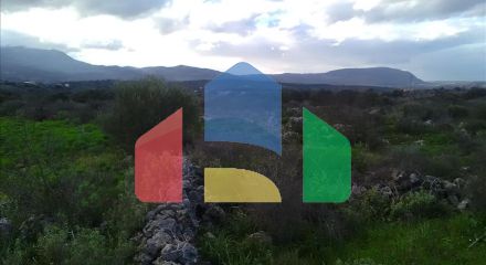 Продажа - Земельный участок 9800 m² на Крите