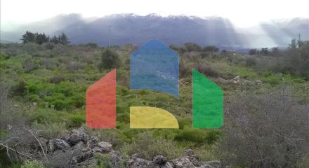 Продажа - Земельный участок 9800 m² на Крите