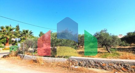 Продажа - Земельный участок 5500 m² на Крите