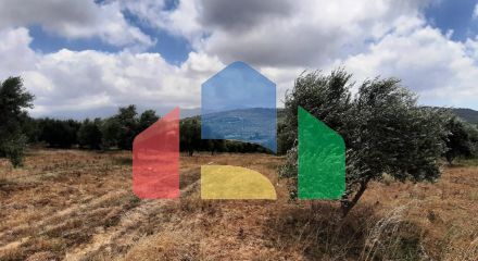 For Sale - Land 15000 m² in Crete
