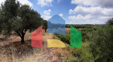 For Sale - Land 15000 m² in Crete