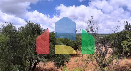 For Sale - Land 15000 m² in Crete