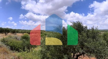 For Sale - Land 15000 m² in Crete