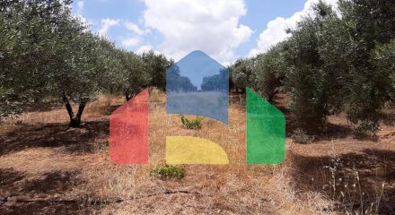 For Sale - Land 15000 m² in Crete